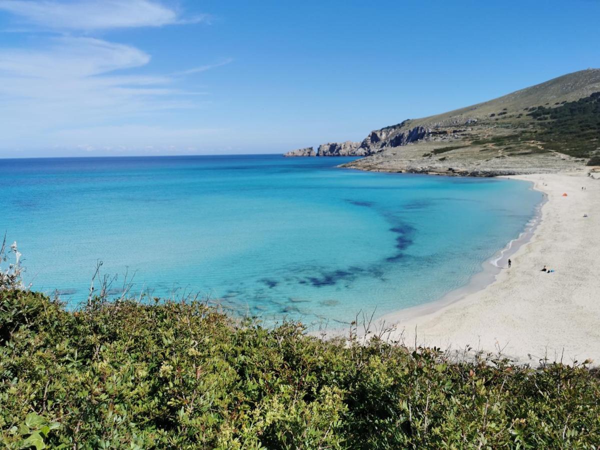 Cala Mesquida Διαμέρισμα Cala Mesquida  Εξωτερικό φωτογραφία